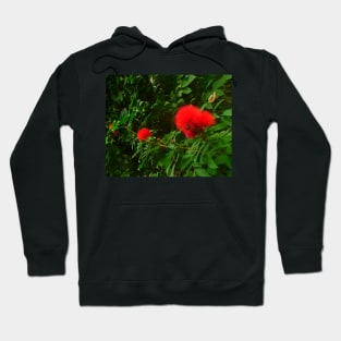 These fuzzy red flowers make me smile Hoodie